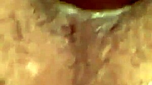 gay trio with mature guy from grindr explores suggestive encounters