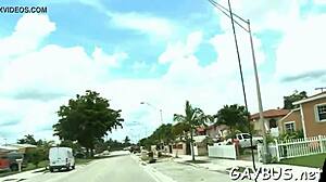 2 gay lads sucking cock blowjob hunk