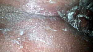 واو، شيمل مؤخرة كبيرة تشتهي ألعاب عملاقة!