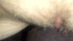 amateur hairy milf with black beaver