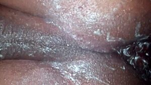 واو، شيمل مؤخرة كبيرة تشتهي ألعاب عملاقة!