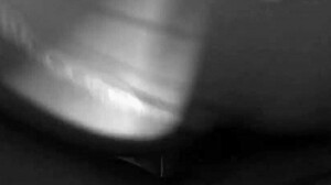 slutty roxy sucks two dildos while getting fucked doggy