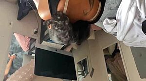 Bbc Fills Step-Sister's Wet Pussy