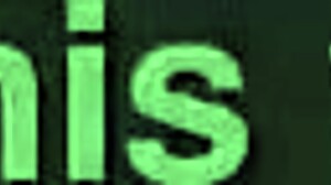 What do you think of this hentai anime zy series?