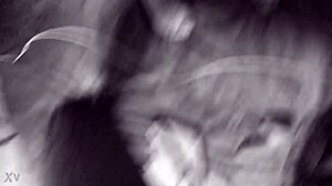 slutty roxy sucks two dildos while getting fucked doggy