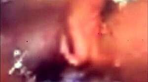 Best Porn Pussy And Ass Display