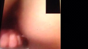 Best Porn Pussy And Ass Display