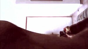 Real amateur couple enjoys holiday hotel blowjob blonde big tits