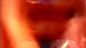 Best Porn Pussy And Ass Display