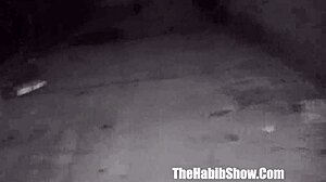 Thick booty ebony Layla Red shows juicy ass in amateur ghetto reality intro.