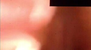 Best Porn Pussy And Ass Display