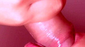 You should know my parents are out of town