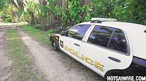 i was shocked when cop pulled me over for gay action