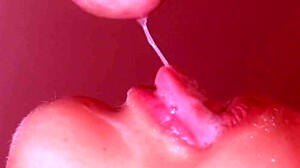 You should know my parents are out of town