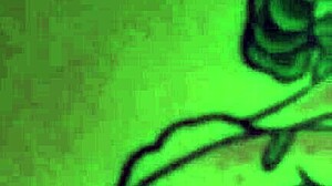 Eksotiske Silvia Rubi længes efter hver vild stød, vil du se? 😈