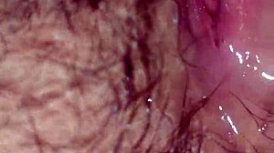 vietnamese teacher shows quick literary skills