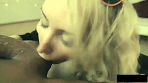 A compilation of oral sex focusing on blowjobs and ball licking