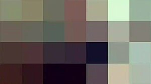 compré unas medias sexys para que las uses