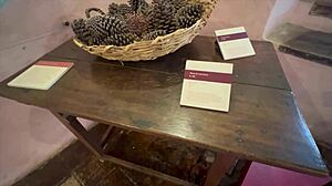 This wasn't a university trip, wen did I get nakid?