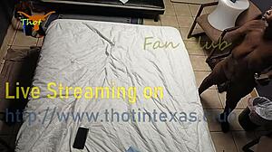 Thot i Texas viser ebony våd fisse, håret milf klar til action?