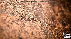 Novinha MASTURBATES on the BEACH, SQUIRTING with ORGASM.