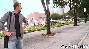 homosexual sex on xvideos, what do you think about that?