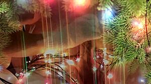 my neighbor gave christmas present with hands mouth 😘