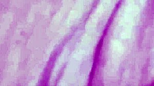 Vivi Guedez secretly films adult movie with black partner including anal assfucking, blowjob, and facial