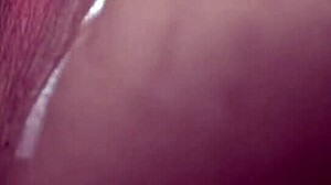 Angel Windell gets her pussy licked, sucks cock, and takes it deep