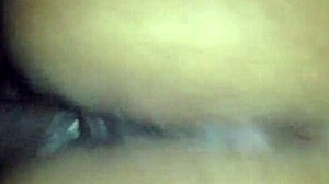 Is that african bitch with big ass like halle berry?