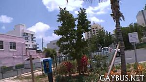 Watch real homosexual sex right here