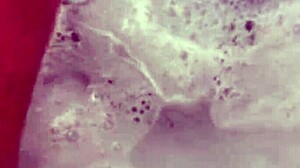 i remove nylon stockings and shower