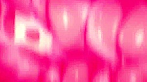 Hmv I Wanna Have Some Fun Traps