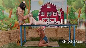 Avery’s Wild Tranny Farm Threesome Ride