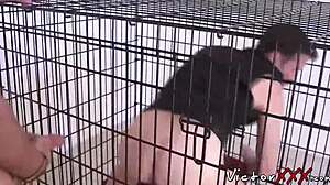 horny homo landon kovak raw ramming delicious sean storm