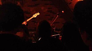 Japanese milf amateur deepthroats in rough anime style.