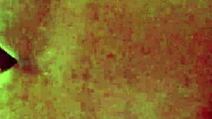 i filmed my neighbor riding but she caught me and moaned loudly with her big tits