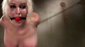 Bound BDSM Whore Gagged and Dildo Fucked in Suspension