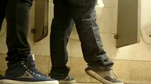 이 화장실 게이 섹스 얼마나 강렬한지 믿을 수 없어