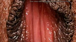 Black Ebonny's Hairy Pussy Close-Up