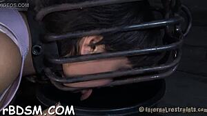 Beauty Is Caged Up With Her Sexy Shaved Slit Exposed