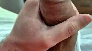 quer mamar o meu penis 😏