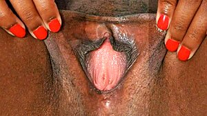 Black Ebonny's Hairy Pussy Close-Up