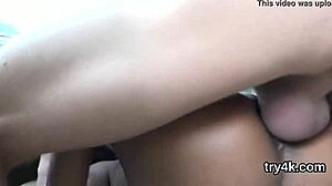 Sweet chick gives pov blowjob and takes it in soft vagina