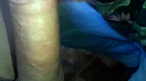 The naughty boyfriend gives a blowjob to his gay lover with small tits