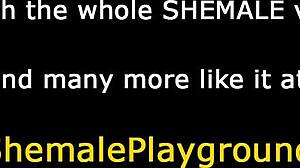 Σκατά! Τρανς γκόμενες παίρνουν κώλο δυνατά;