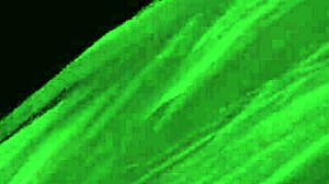 Gta 5 - First Person Hooker 6