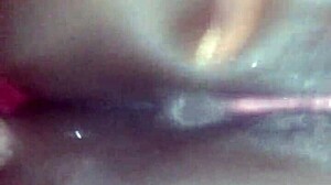 Regina ebony în vedere apropiată.