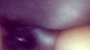 ebony queen in close-up view