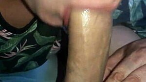 The naughty boyfriend gives a blowjob to his gay lover with small tits